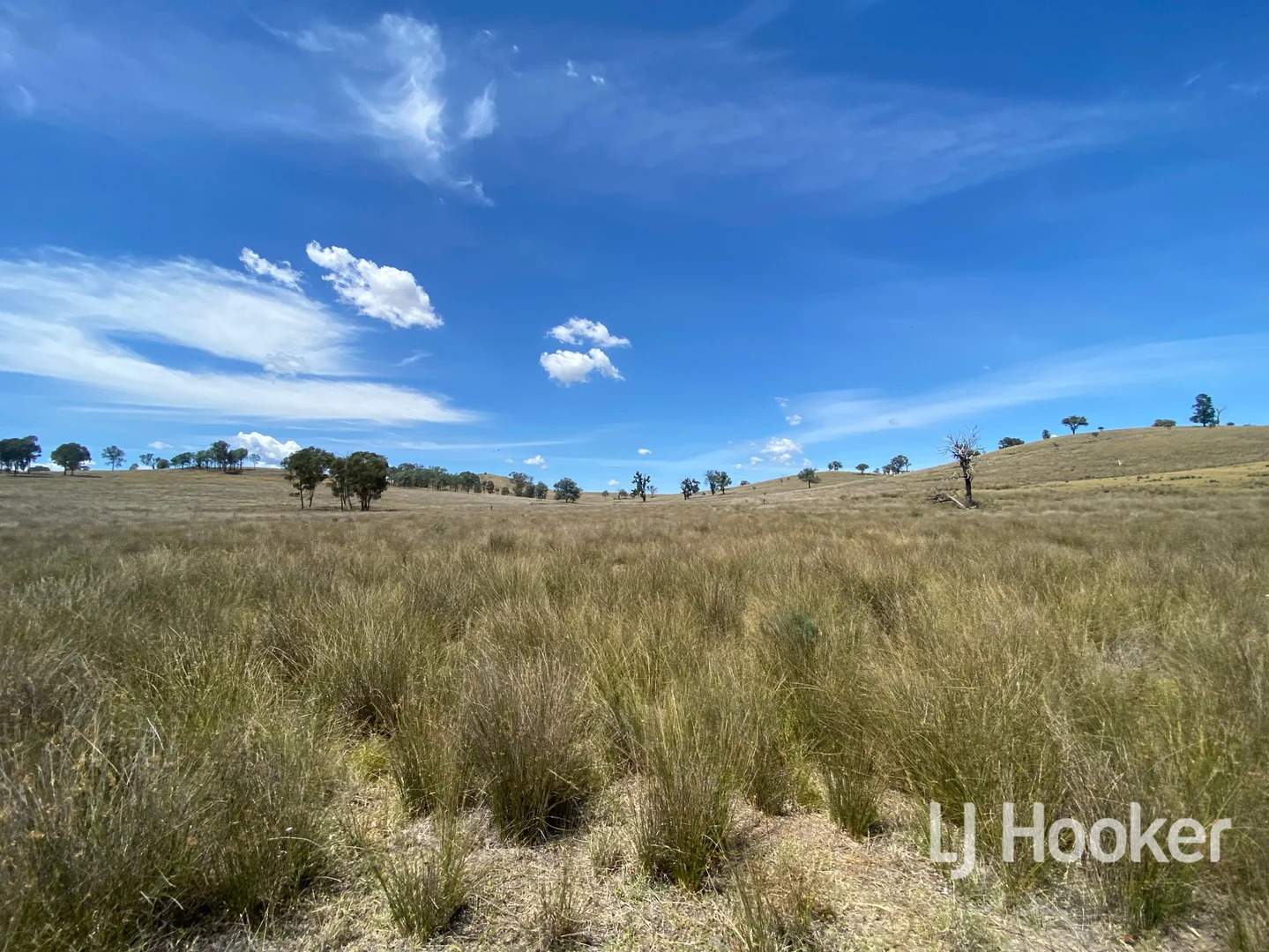 Additional image 19 of 1198 Bukkulla Road, Inverell NSW 2360