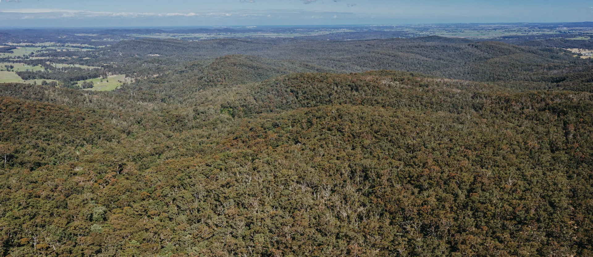 Additional image 6 of 23 Uffington Road, Duns Creek NSW 2321