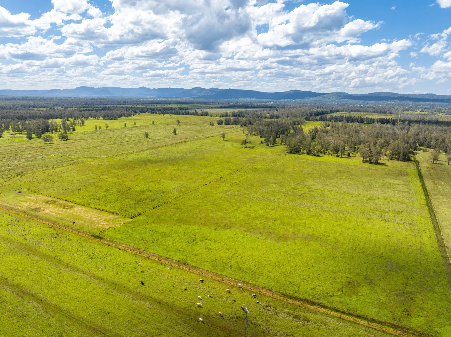 Additional image 24 of 385 Moto Road, Moto NSW 2426