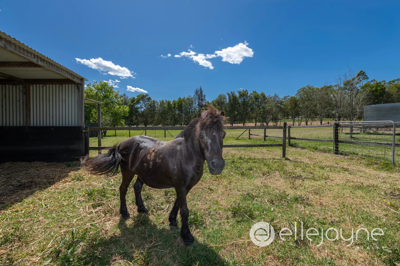 Additional image 33 of 10 Marconi Road, Morisset NSW 2264