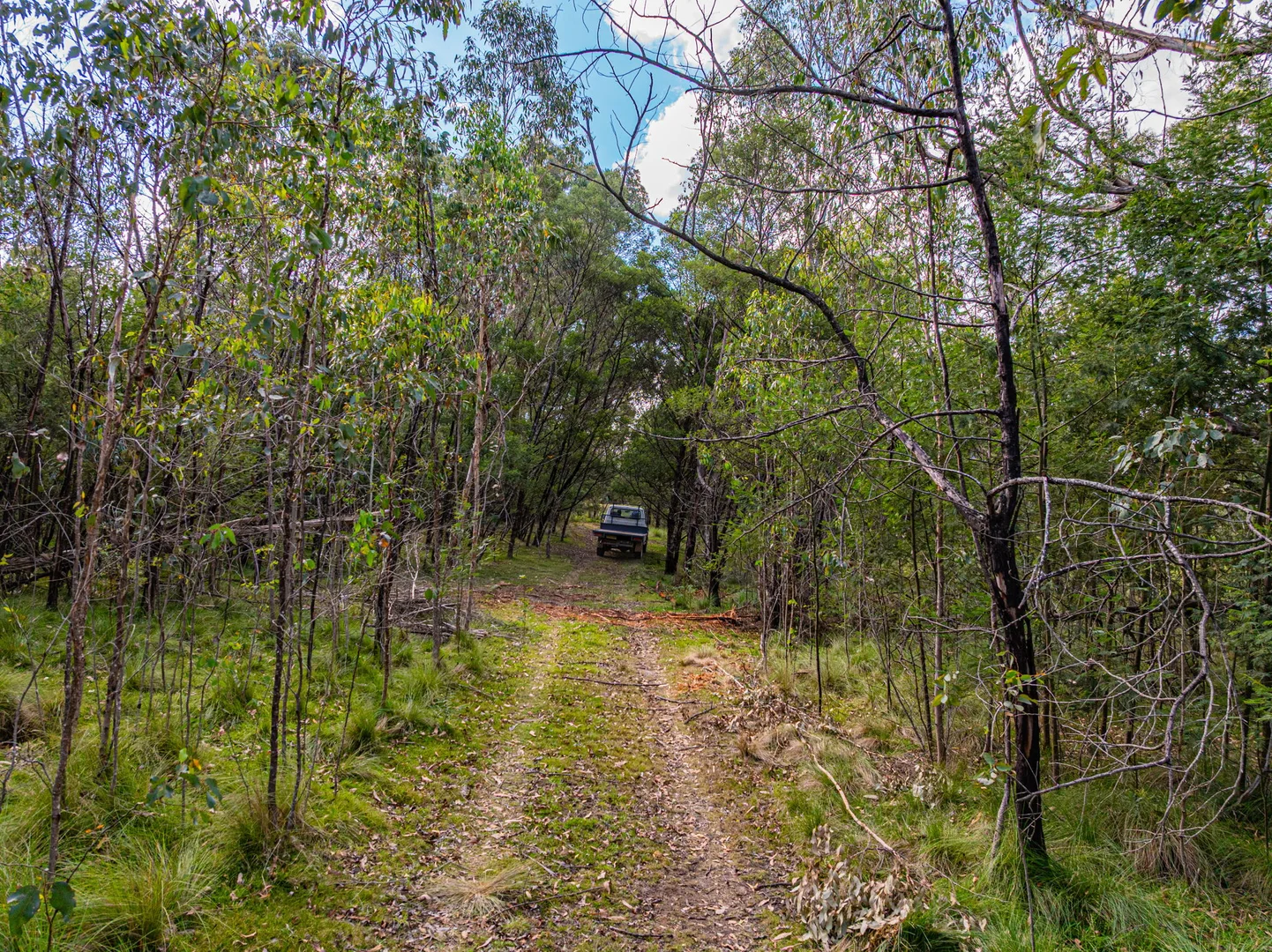 Additional image 8 of 153 Murumba Rd,, Bombay NSW 2622