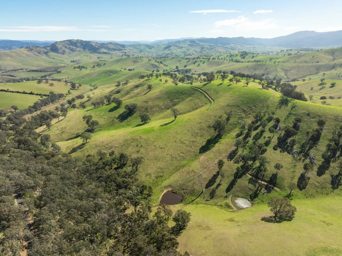 Additional image 43 of 198 Watts Creek Road, Ensay VIC 3895