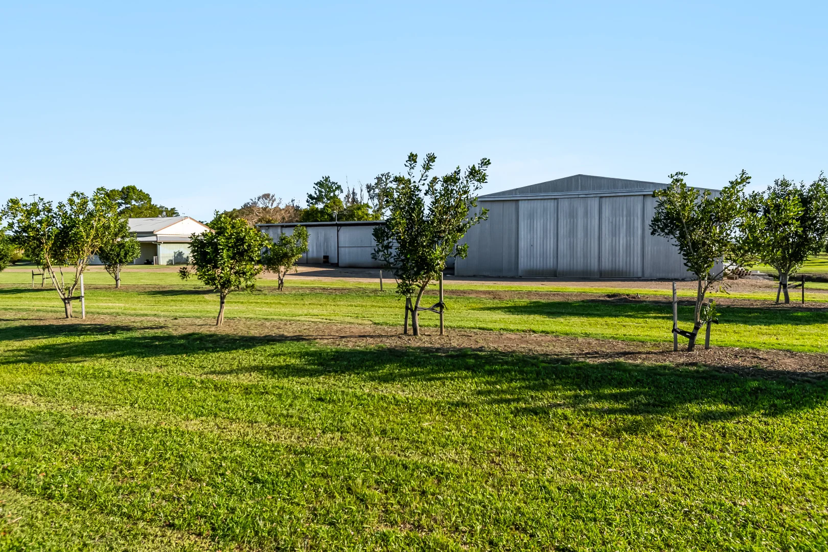 Additional image 16 of 134 Hermans Lane, Pimlico NSW 2478