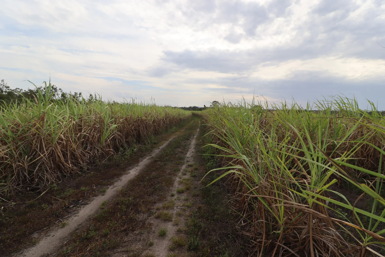 Additional image 4 of 107 Petersens Road, Yandaran QLD 4673