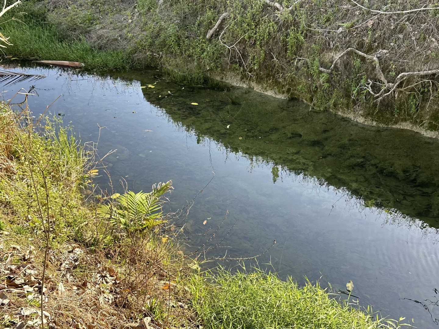 Additional image 12 of Lot 2 Broderick Road, Midgenoo QLD 4854