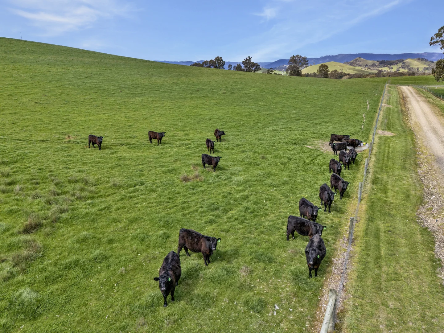 Additional image 8 of 146 Hobans Road, Alexandra VIC 3714