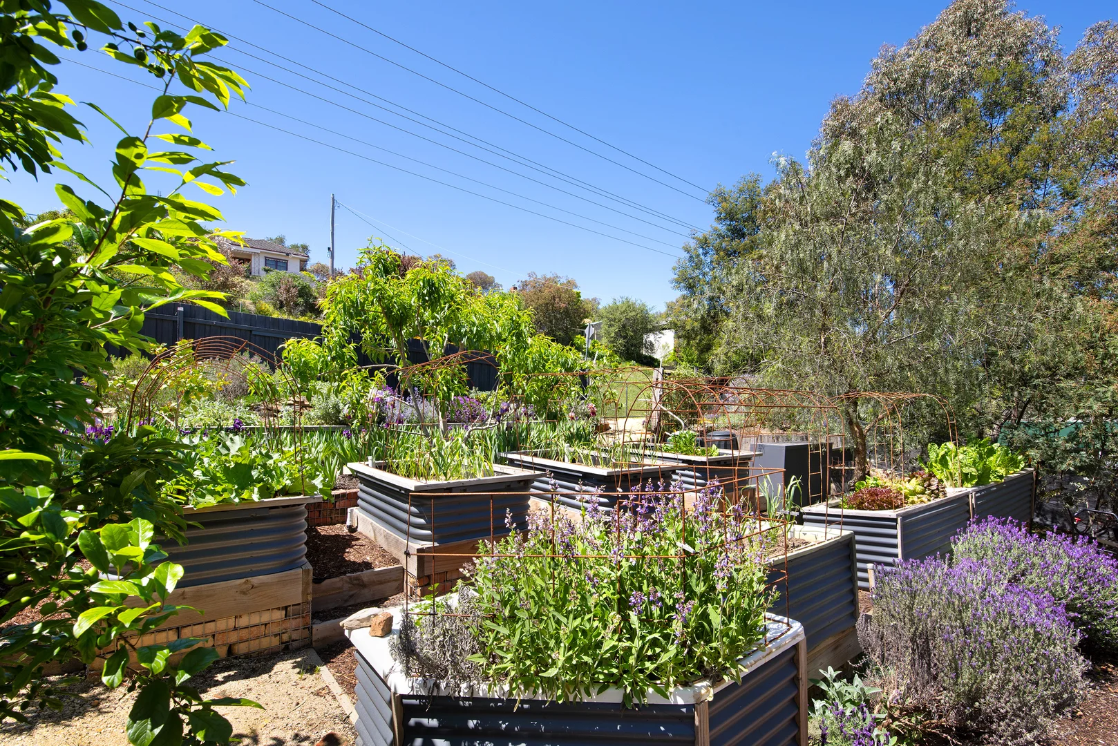 Additional image 17 of 48 Campbell Street, Castlemaine VIC 3450