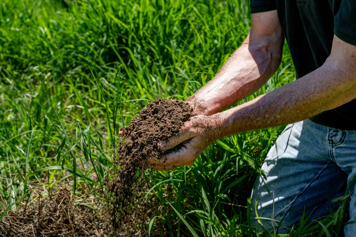 Additional image 31 of 800 Fawcetts Plain Road, Kyogle NSW 2474