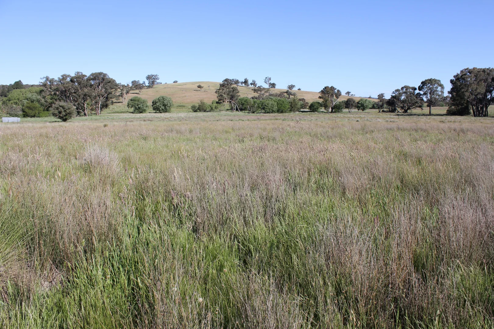 Additional image 15 of 48 & 98/413 Flacknell Creek Road, Gunning NSW 2581