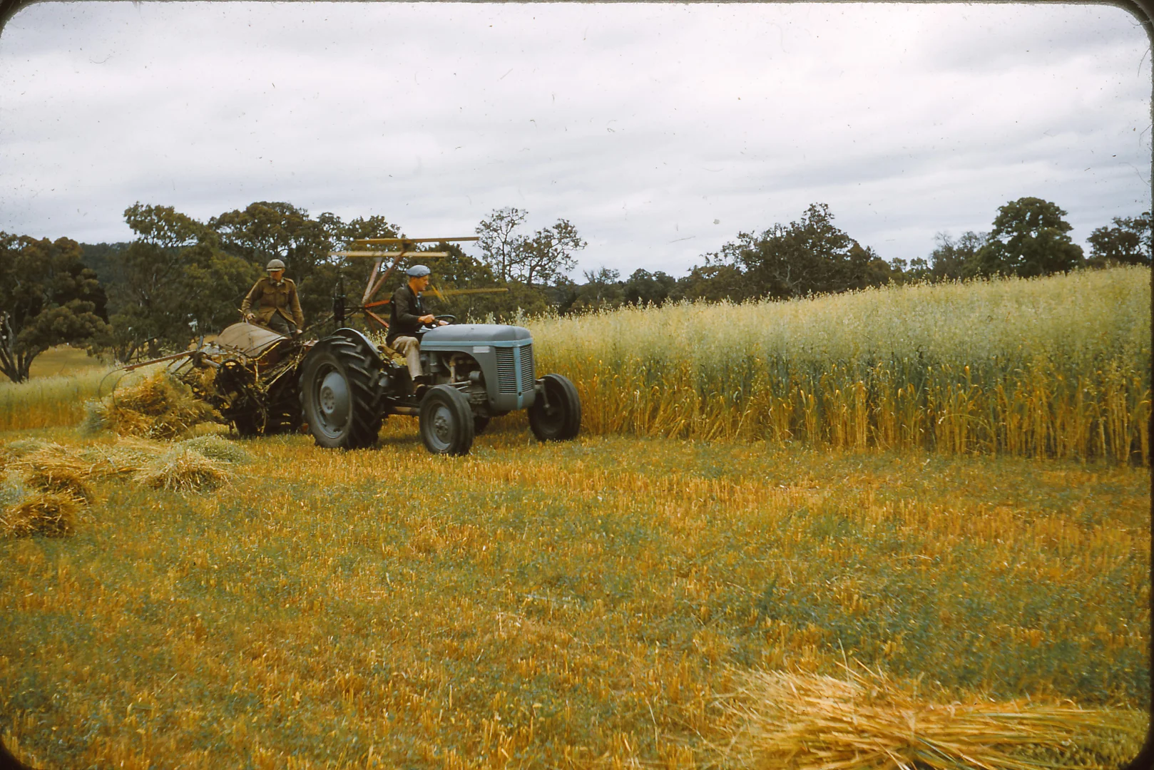 Additional image 21 of Lot 20 & 21 Newman Road, Charleston SA 5244