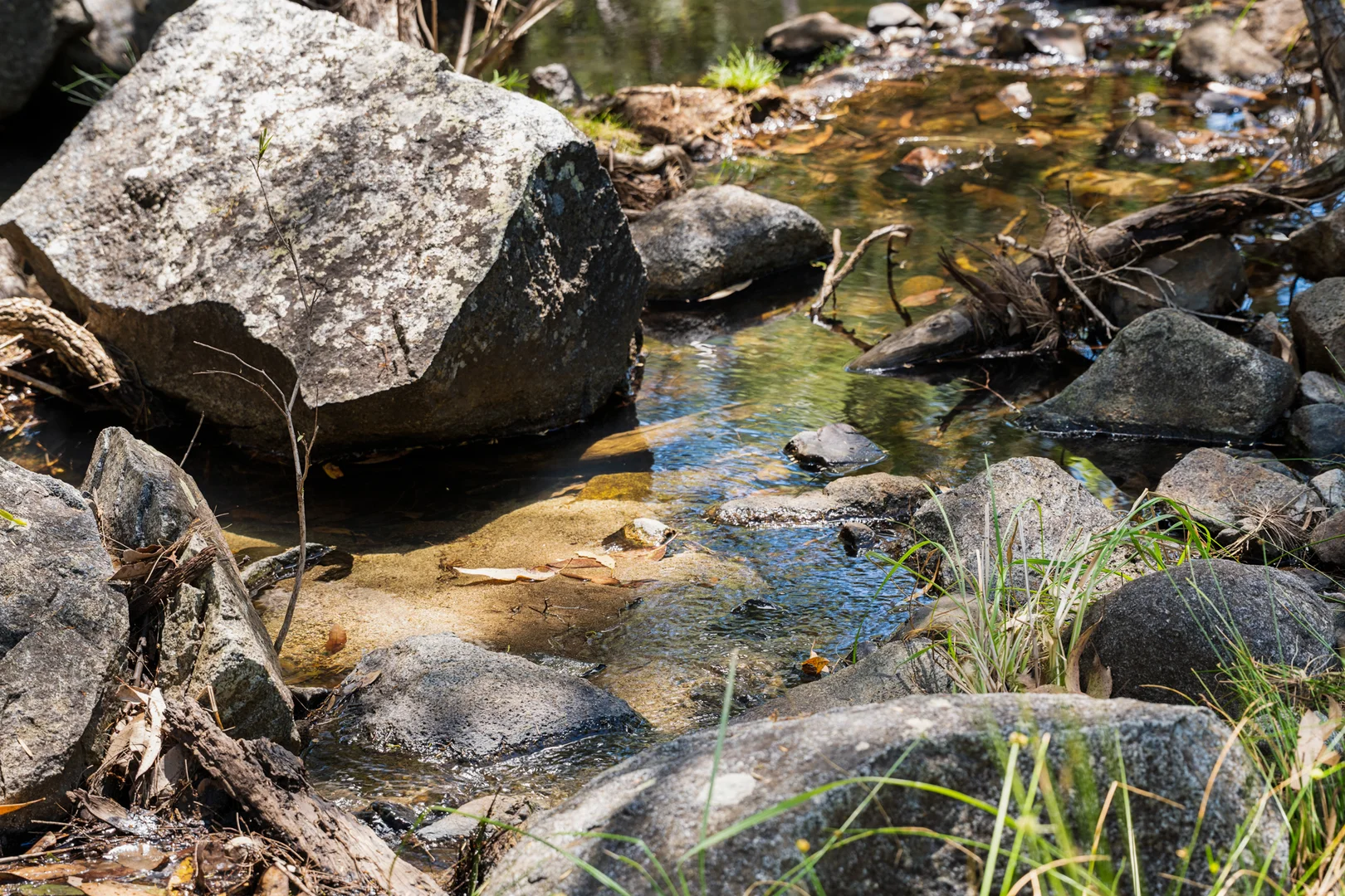 Additional image 30 of 225 Wild Deer Drive, Blackbutt QLD 4314