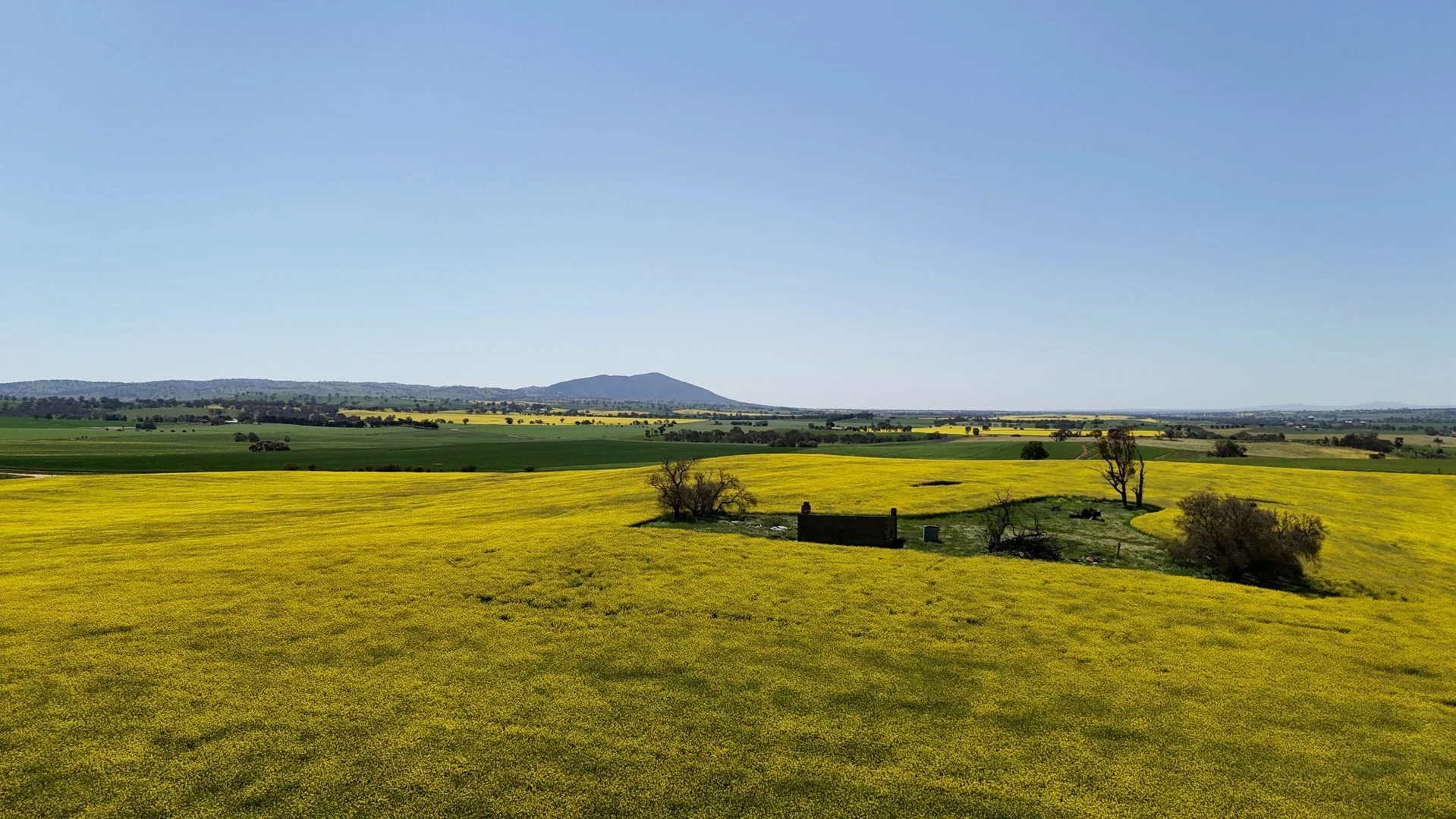 Additional image 11 of 'Ryans' Archie Road, Murray Town SA 5481