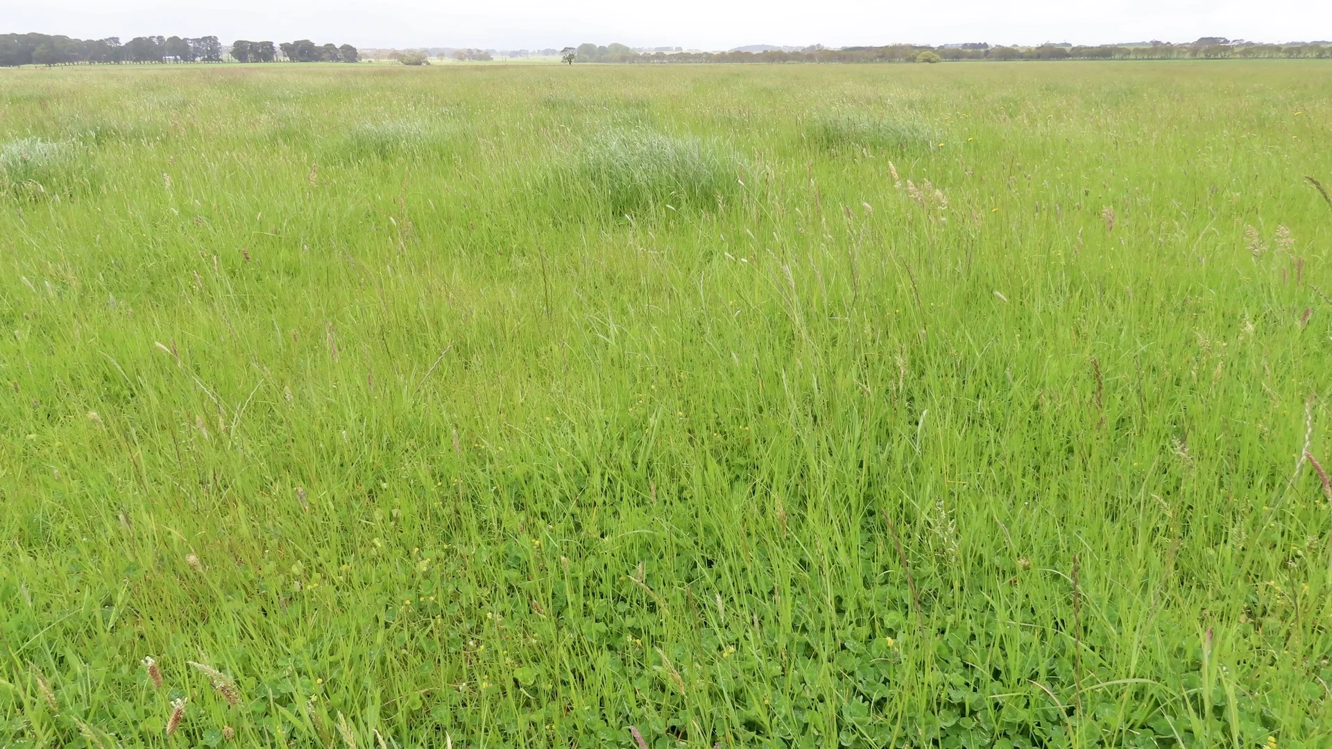 Additional image 9 of Contact Agent, Macarthur VIC 3286