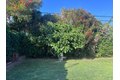 Additional image 14 of 4350 Coolidge Ave, Los Angeles, CA, 90066