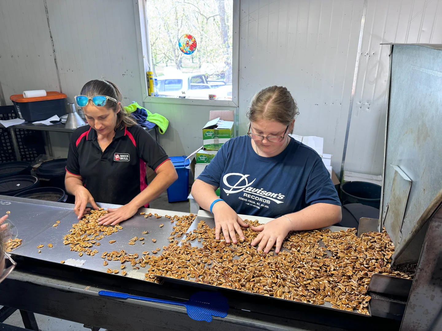 Additional image 10 of 43 Hearle Road, Mumballup WA 6225