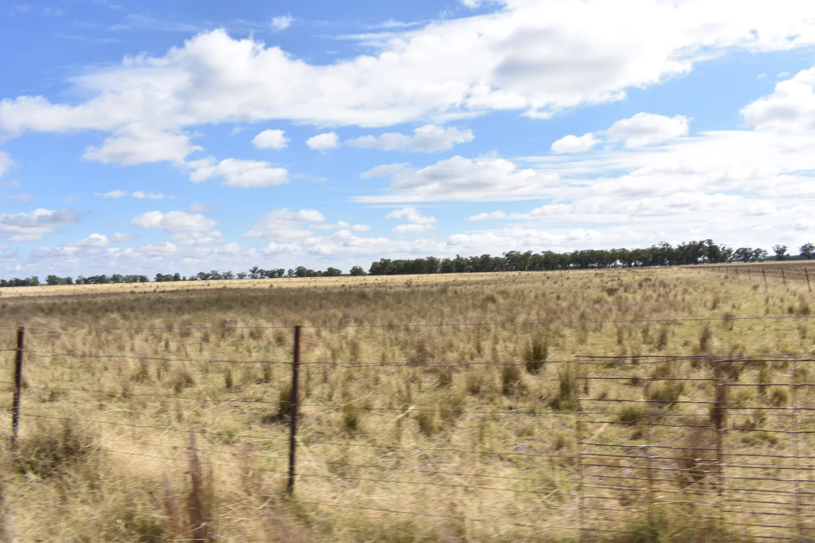 Additional image 45 of 987 Boorr Hill Road, Bruie Plains NSW 2875