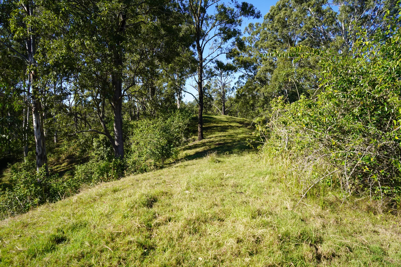 Additional image 35 of 2425 Pine Creek Rd, Lismore NSW 2480