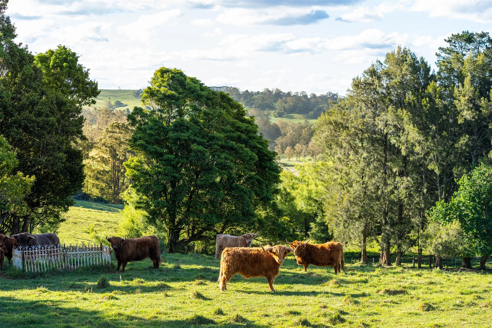Additional image 16 of 4980 Illawarra Highway, Robertson NSW 2577