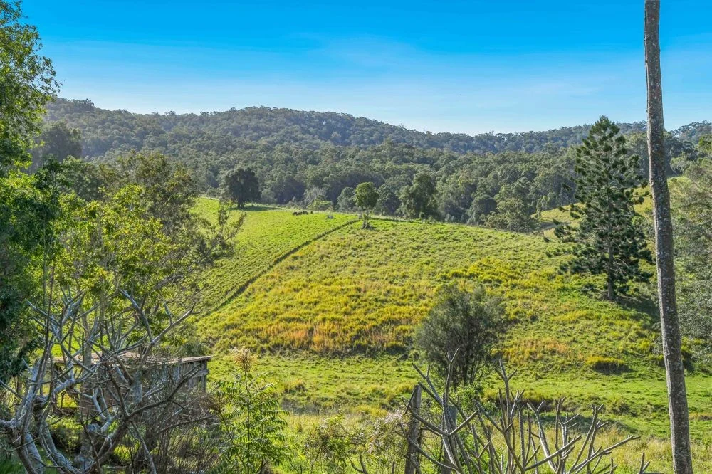 Additional image 21 of 353 Rhones Creek Road, Talarm NSW 2447