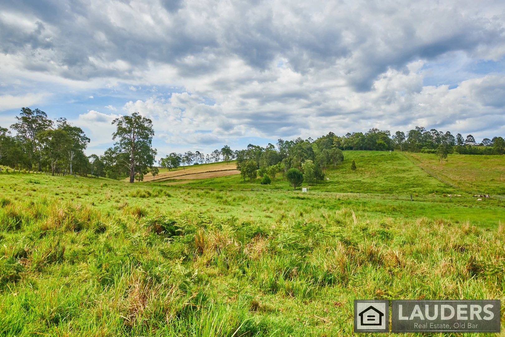 Additional image 31 of 2264 Bundook Road, Bundook NSW 2422