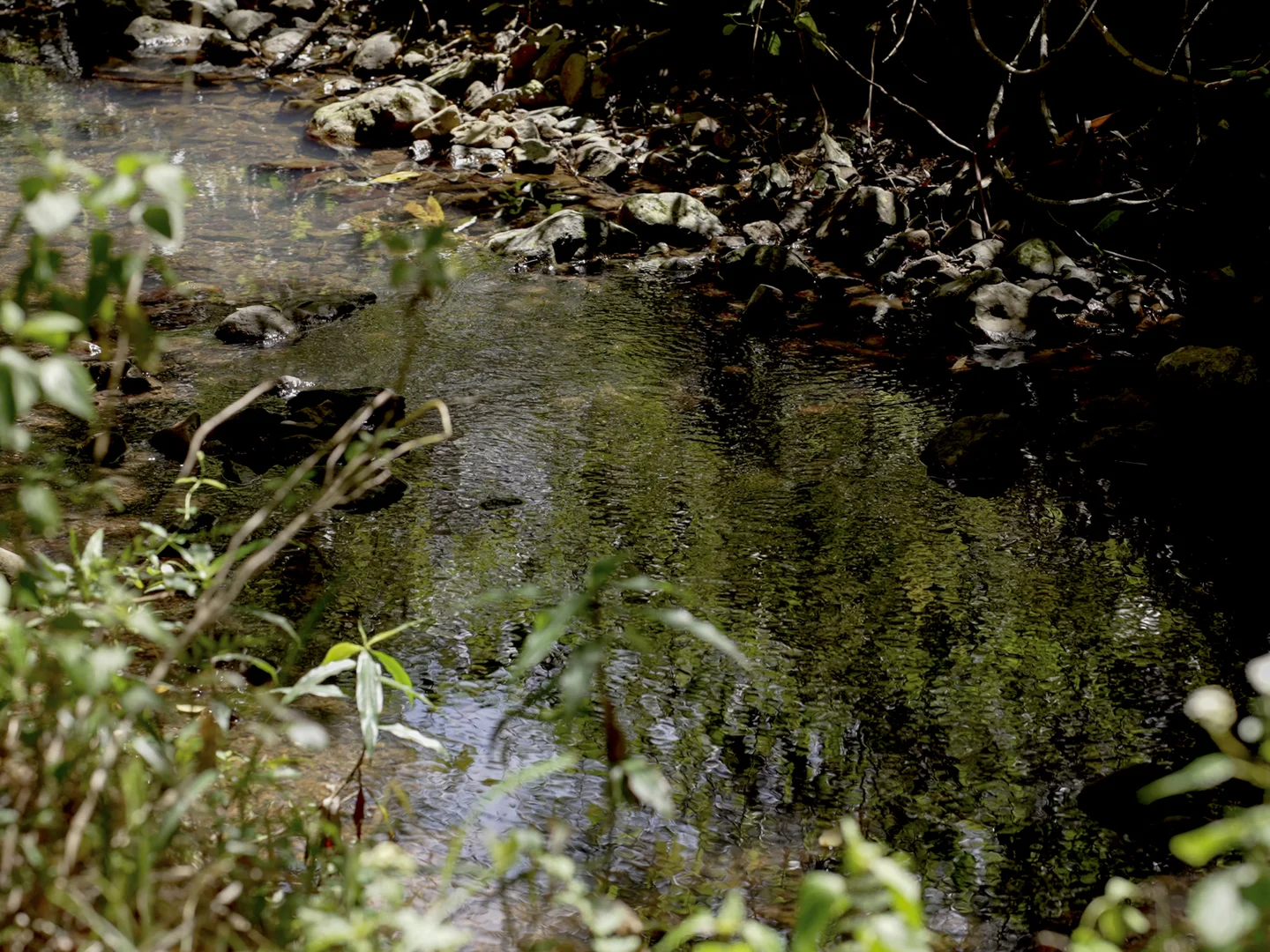 Additional image 12 of 1 Freida Hicks Drive, Bellingen NSW 2454