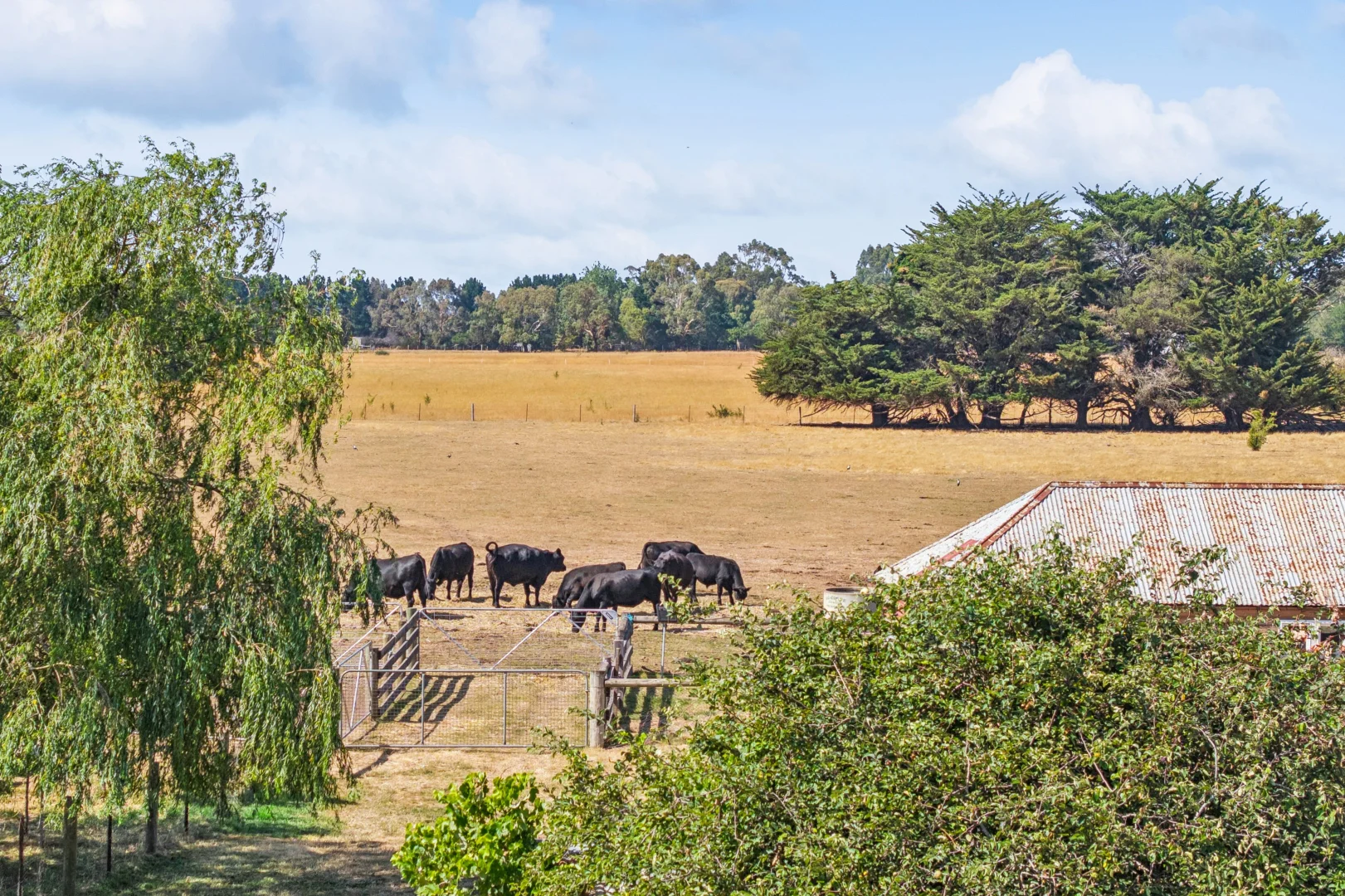 Additional image 19 of 212 Northumberland Road, Kyneton VIC 3444