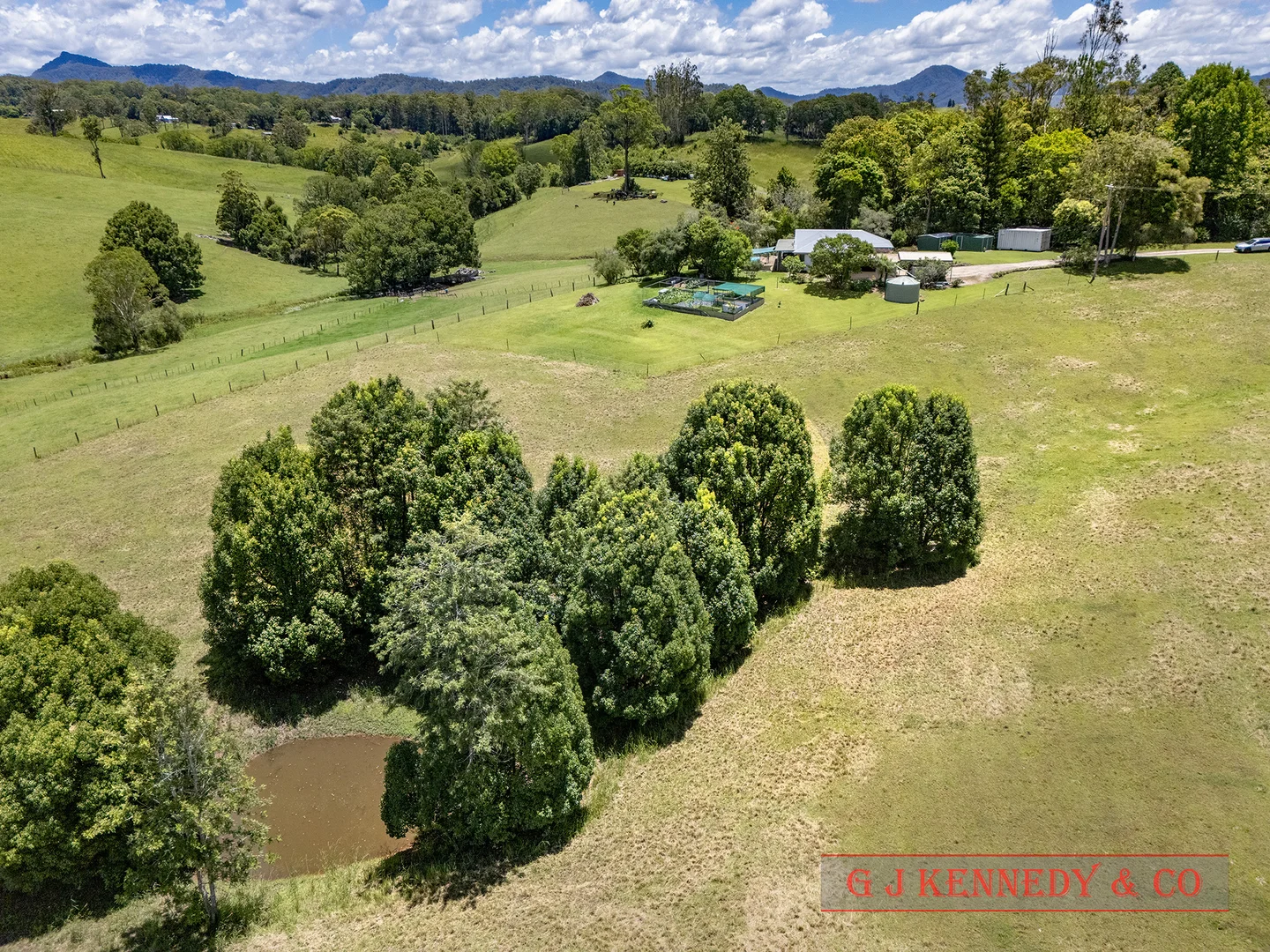 Additional image 18 of 319 North Arm Rd, Argents Hill NSW 2449
