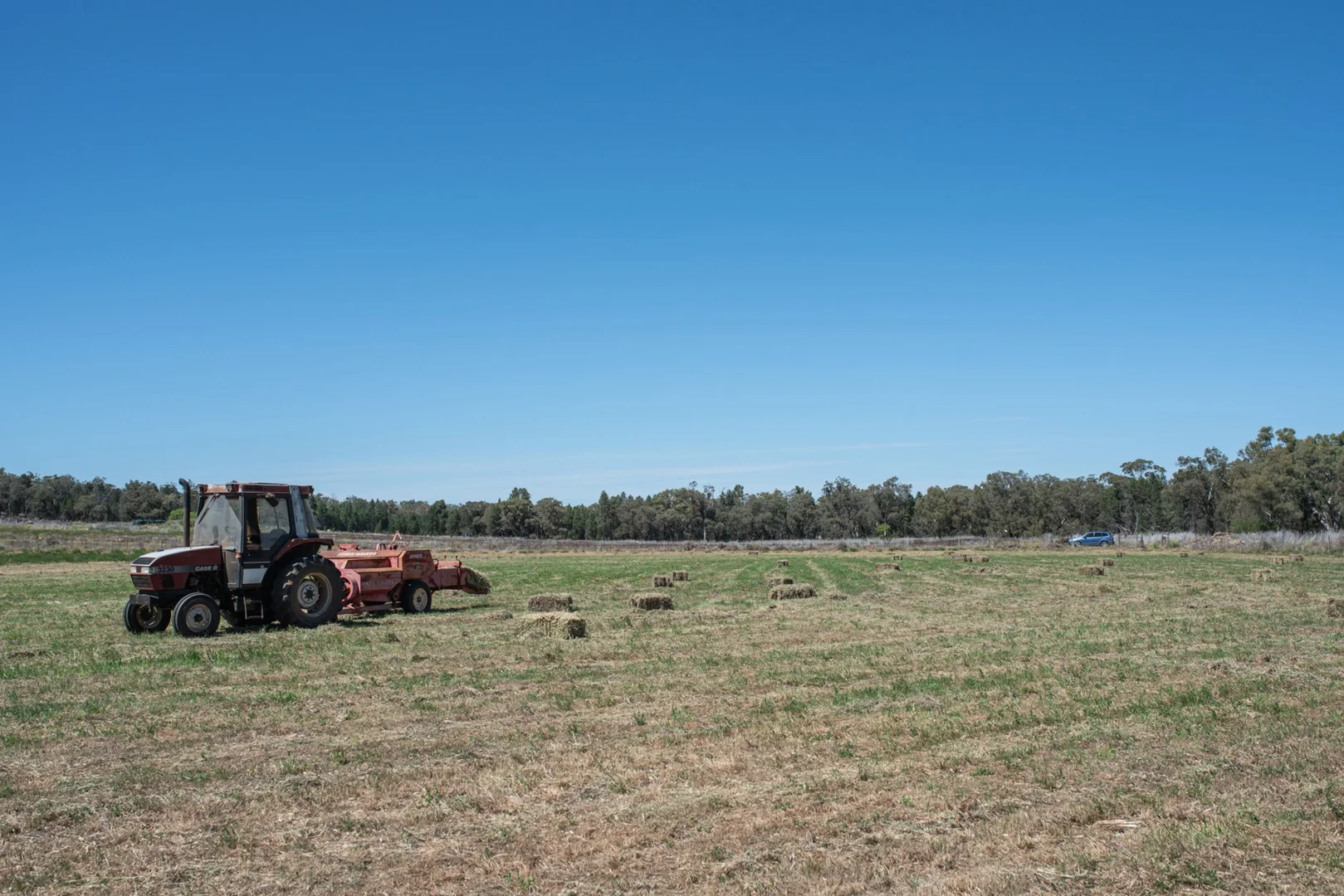 Additional image 4 of Geurie NSW 2818