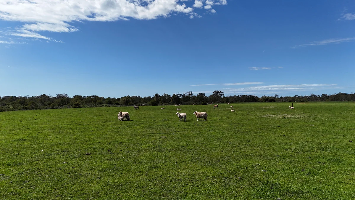 Additional image 10 of 220 Harlocks Road, Pomborneit North VIC 3260