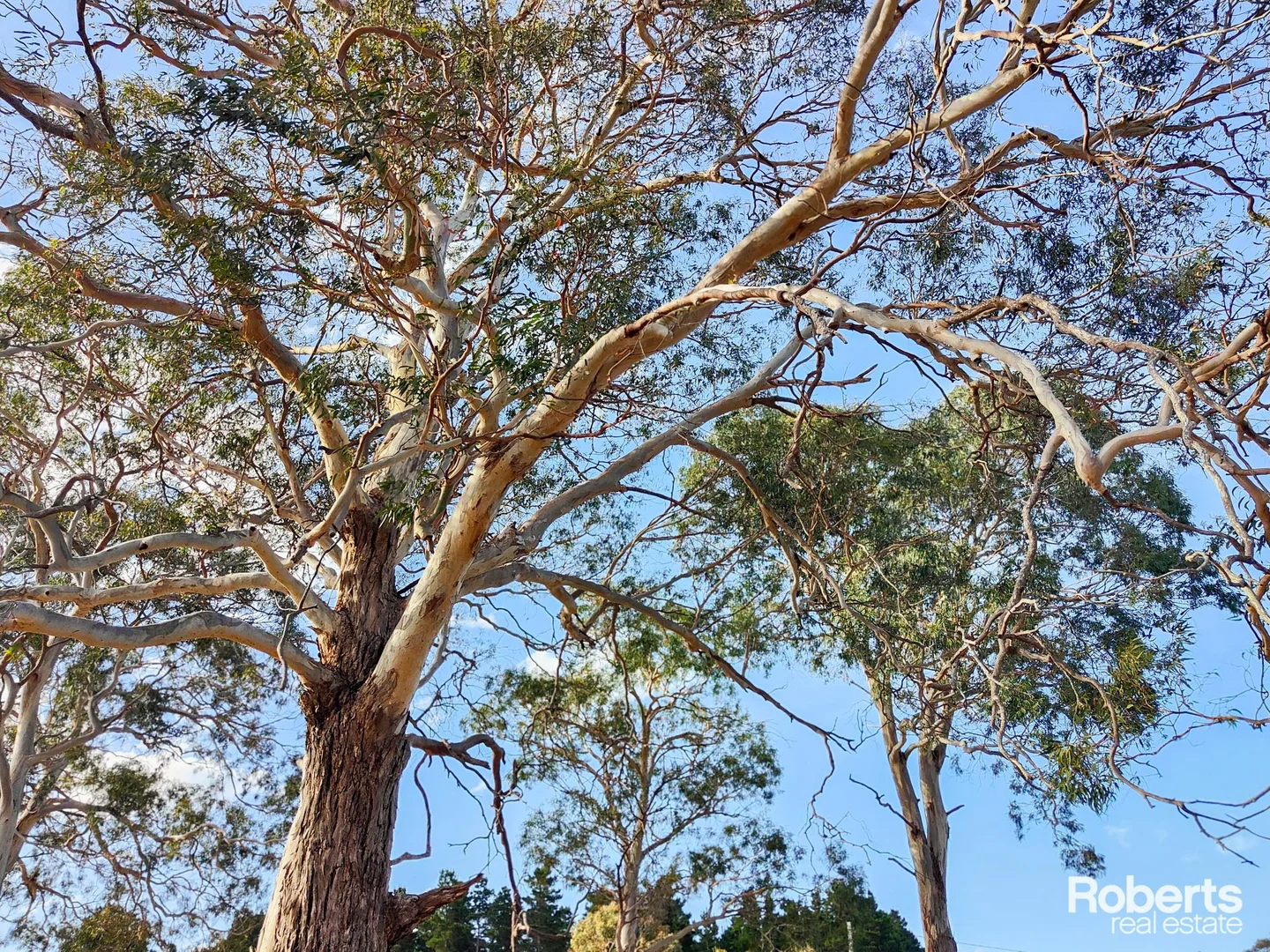 Additional image 9 of Lot 1/213 Cambria Drive, Dolphin Sands TAS 7190