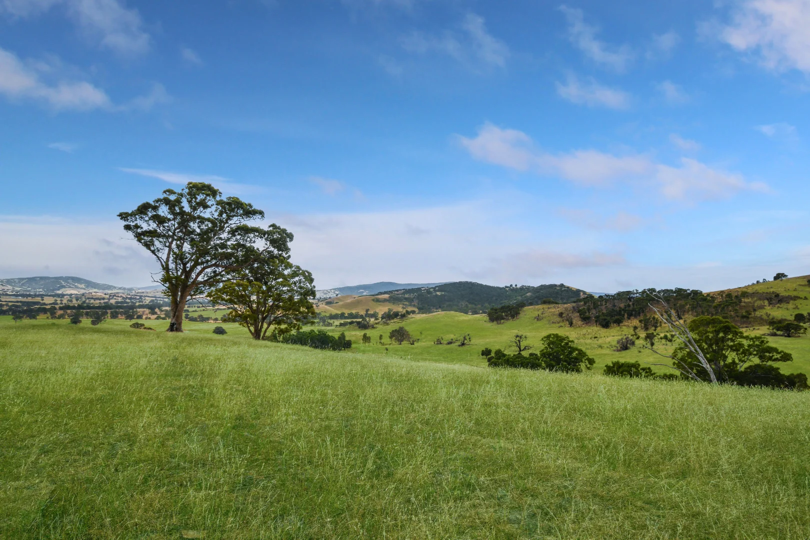 Additional image 4 of LOT 2 ON PS716983N L J DAWSON ROAD, Elmhurst VIC 3469