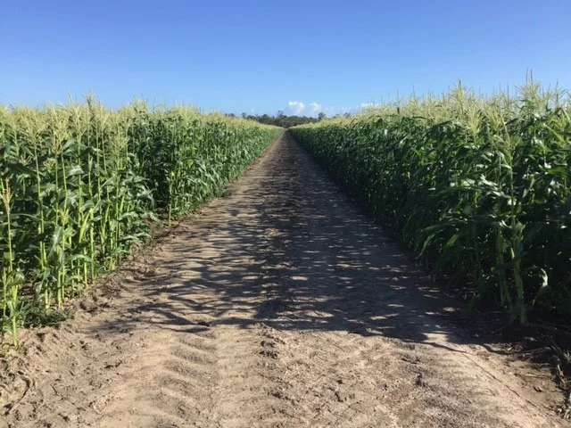 Additional image 2 of Alloway QLD 4670