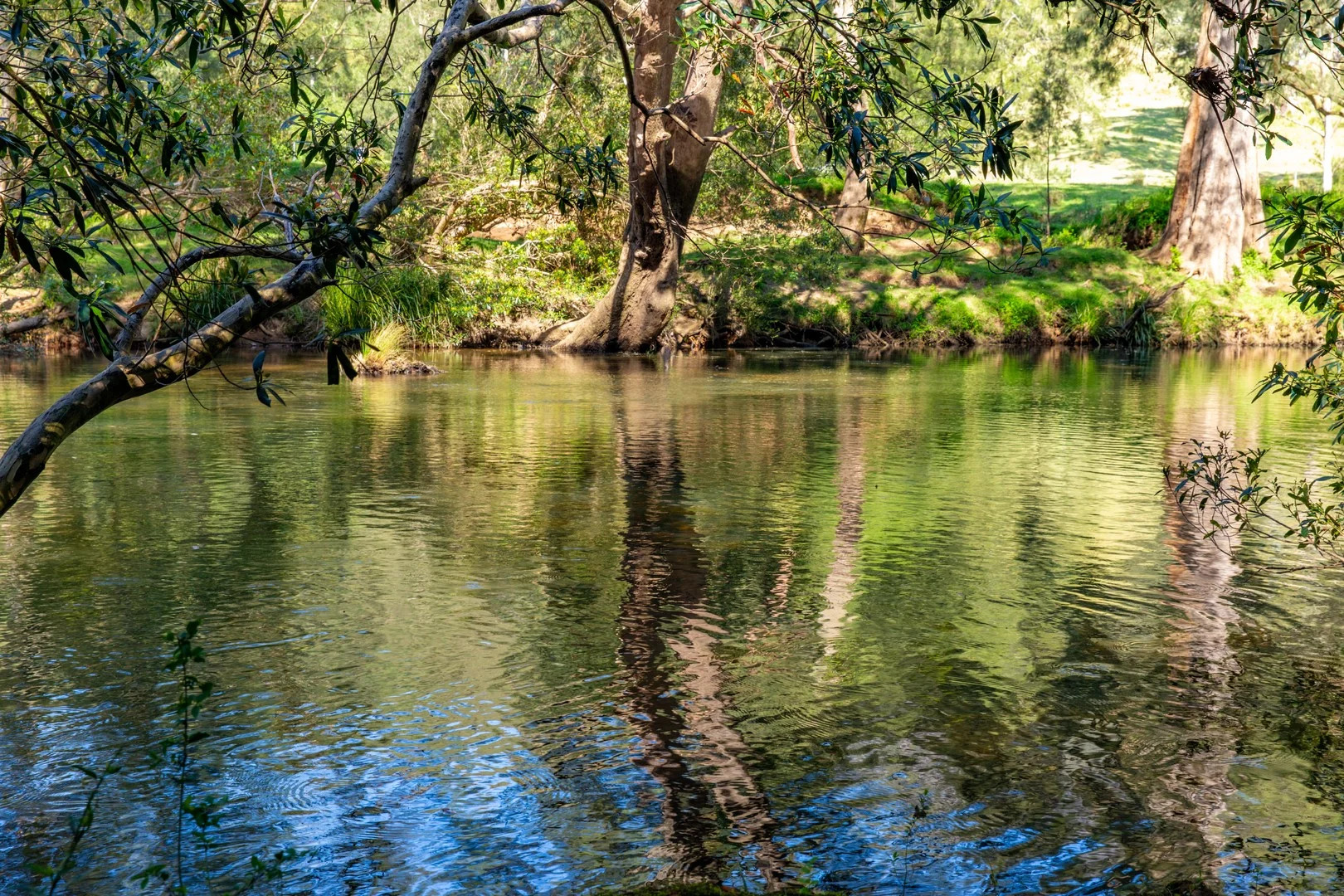 Additional image 2 of 910 Upper Kangaroo River Road, Kangaroo Valley NSW 2577