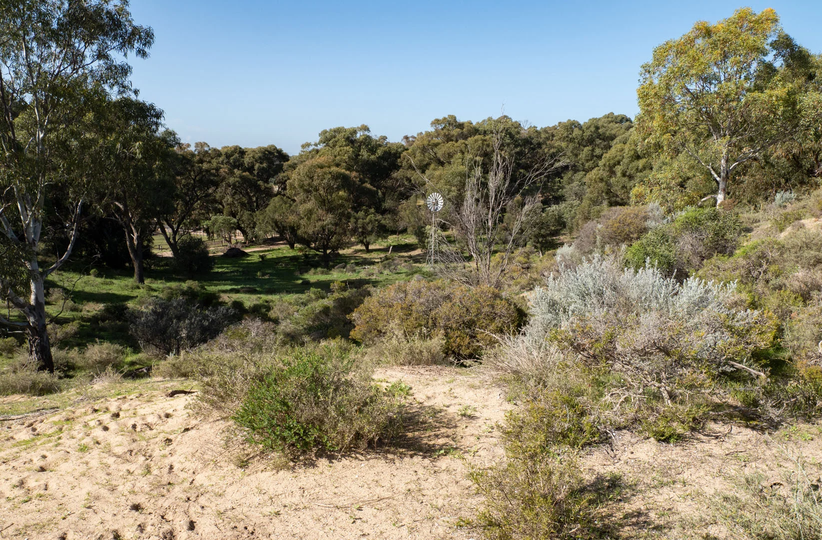 Additional image 16 of 1859 Mandurah Road, Karnup WA 6176
