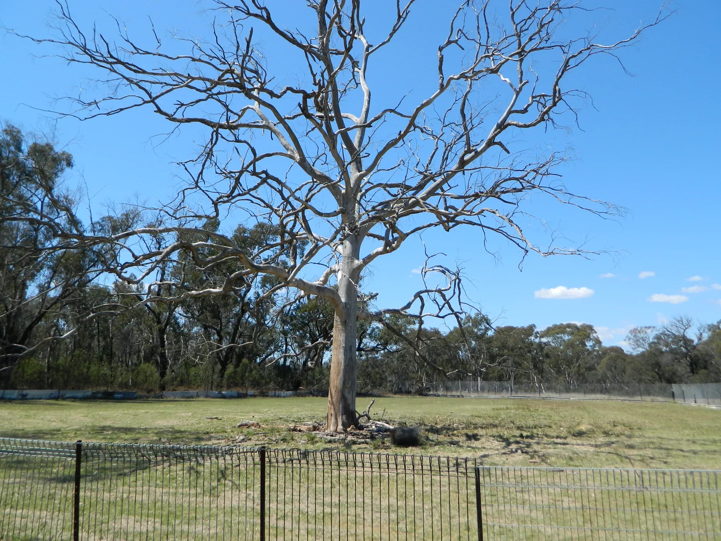 Additional image 5 of 485 Reedy Creek Road, Rylstone NSW 2849