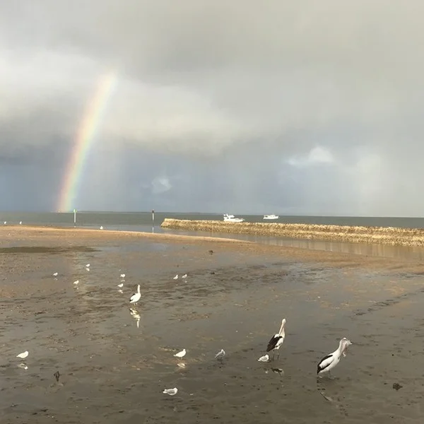 Additional image 20 of 10 Malanda Street, Wynnum West QLD 4178