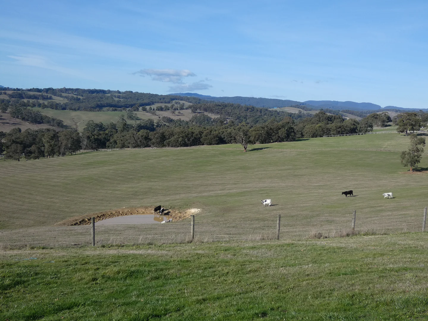 Additional image 18 of 10 Smiths Road, Yellingbo VIC 3139