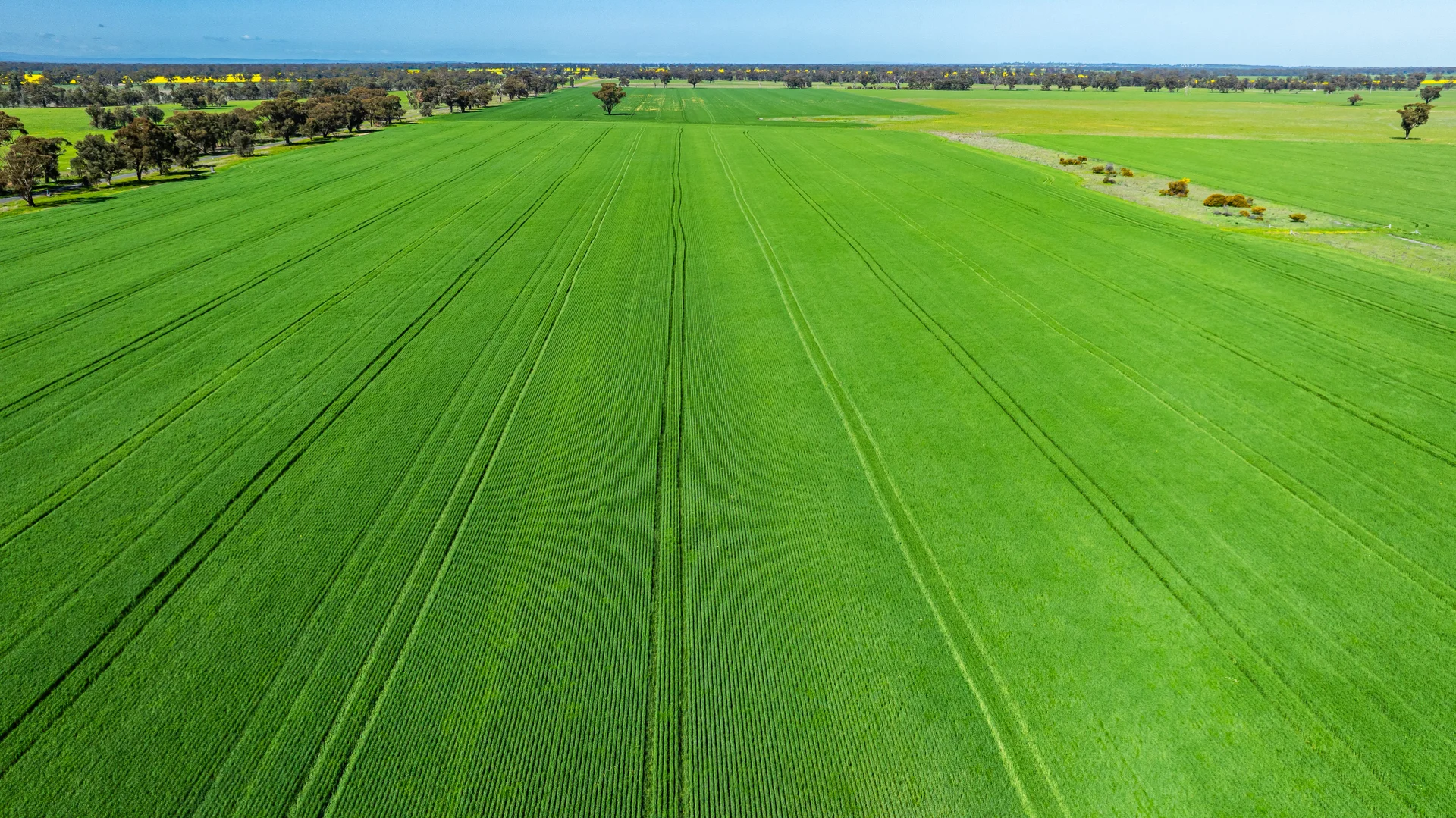 Additional image 7 of 153 Balldale-Coreen Road, Corowa NSW 2646