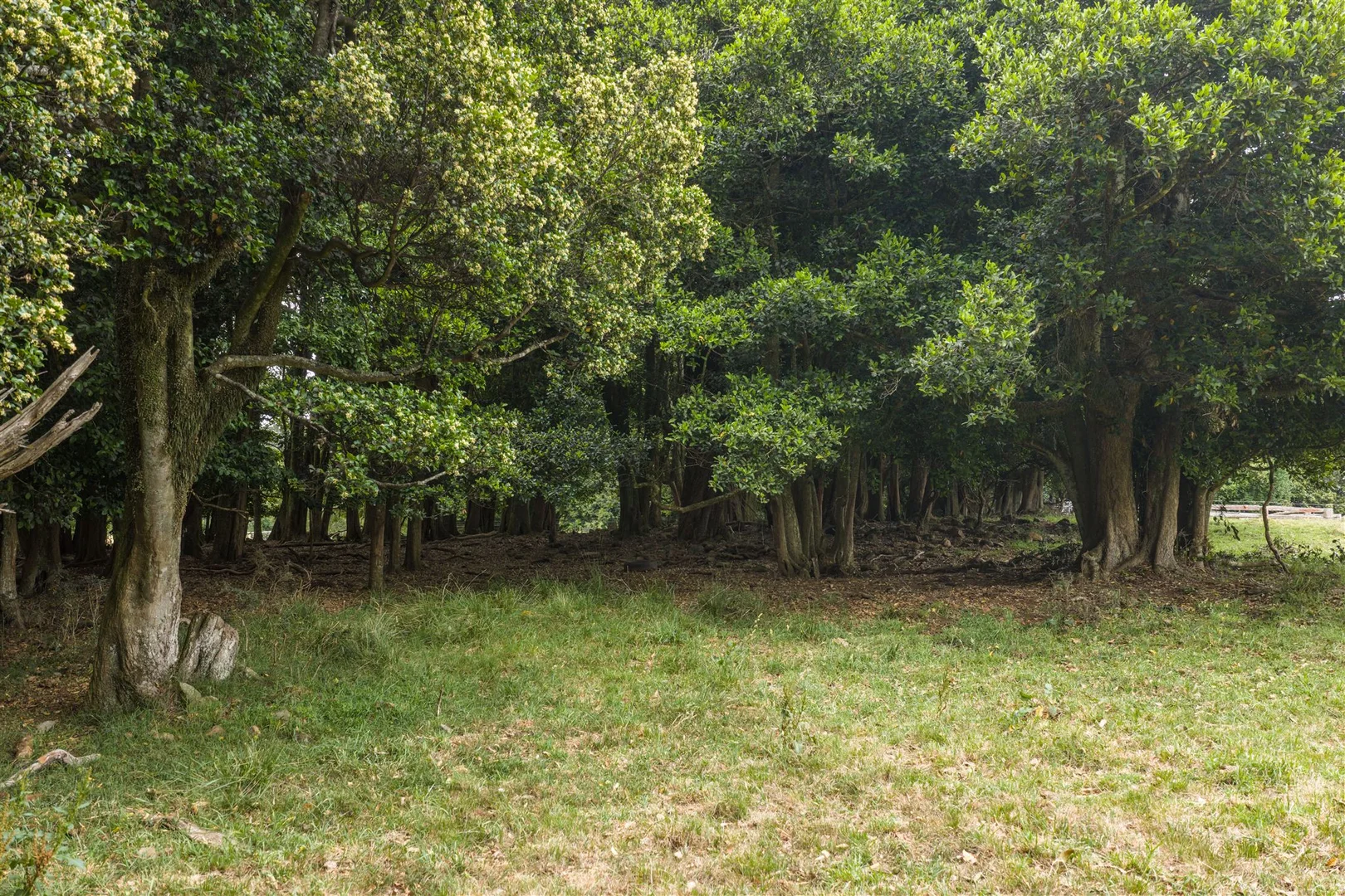 Additional image 19 of 4980 Illawarra Highway, Robertson NSW 2577