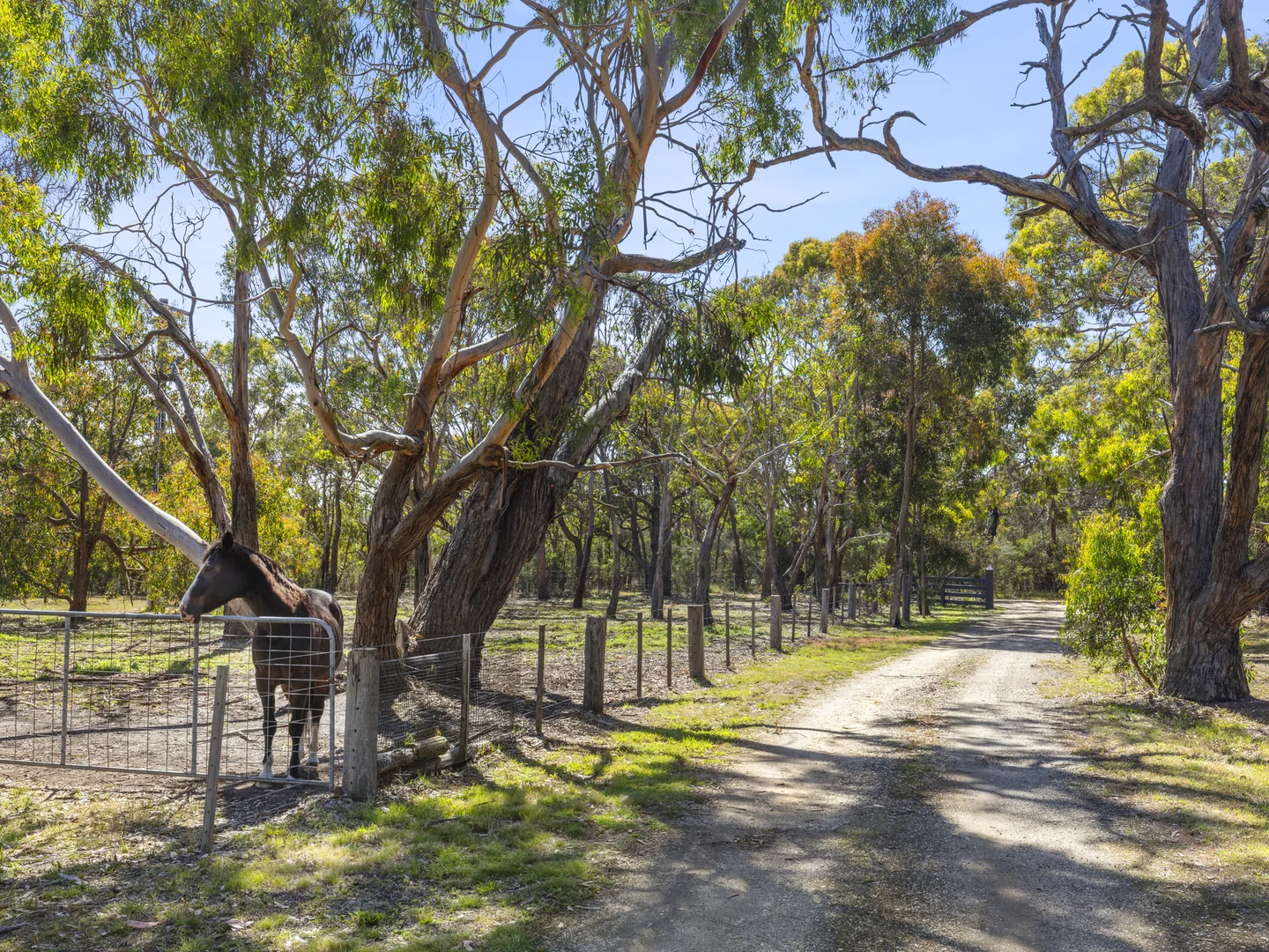 Additional image 30 of 850 Pettavel Road, Freshwater Creek VIC 3217