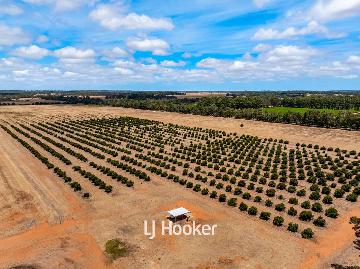 Additional image 8 of 73 Payne Road, Kaloorup WA 6280