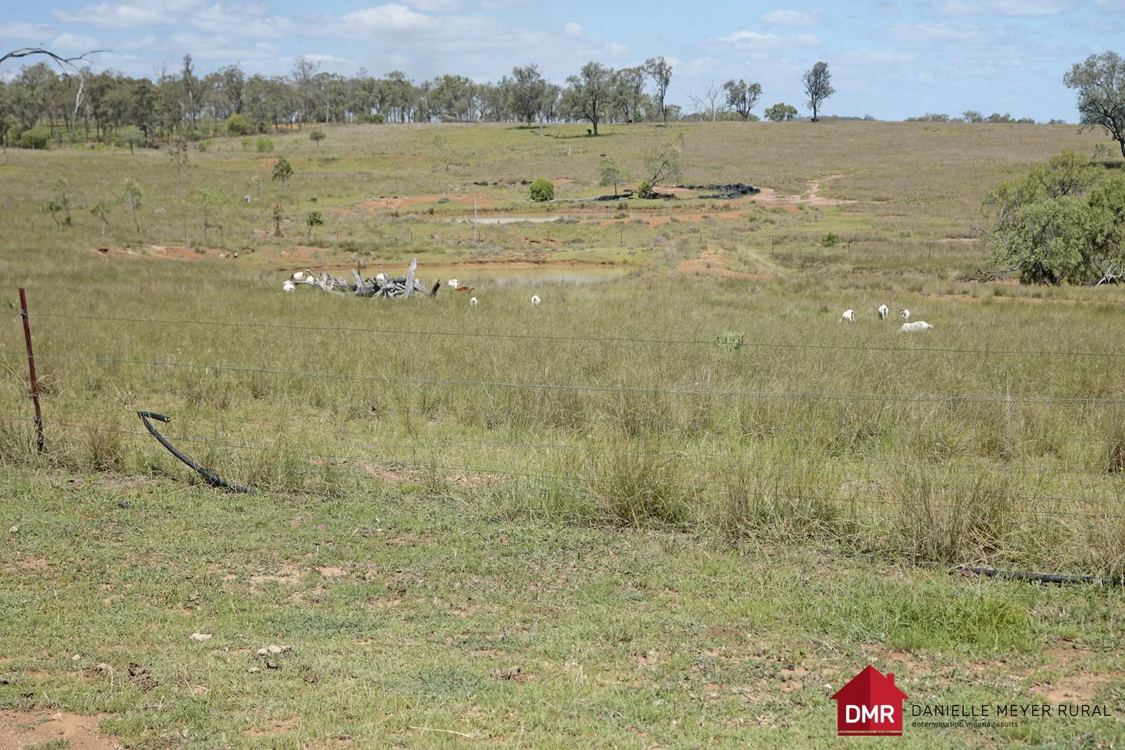 Additional image 4 of 110 Benhams Road, Mundubbera QLD 4626