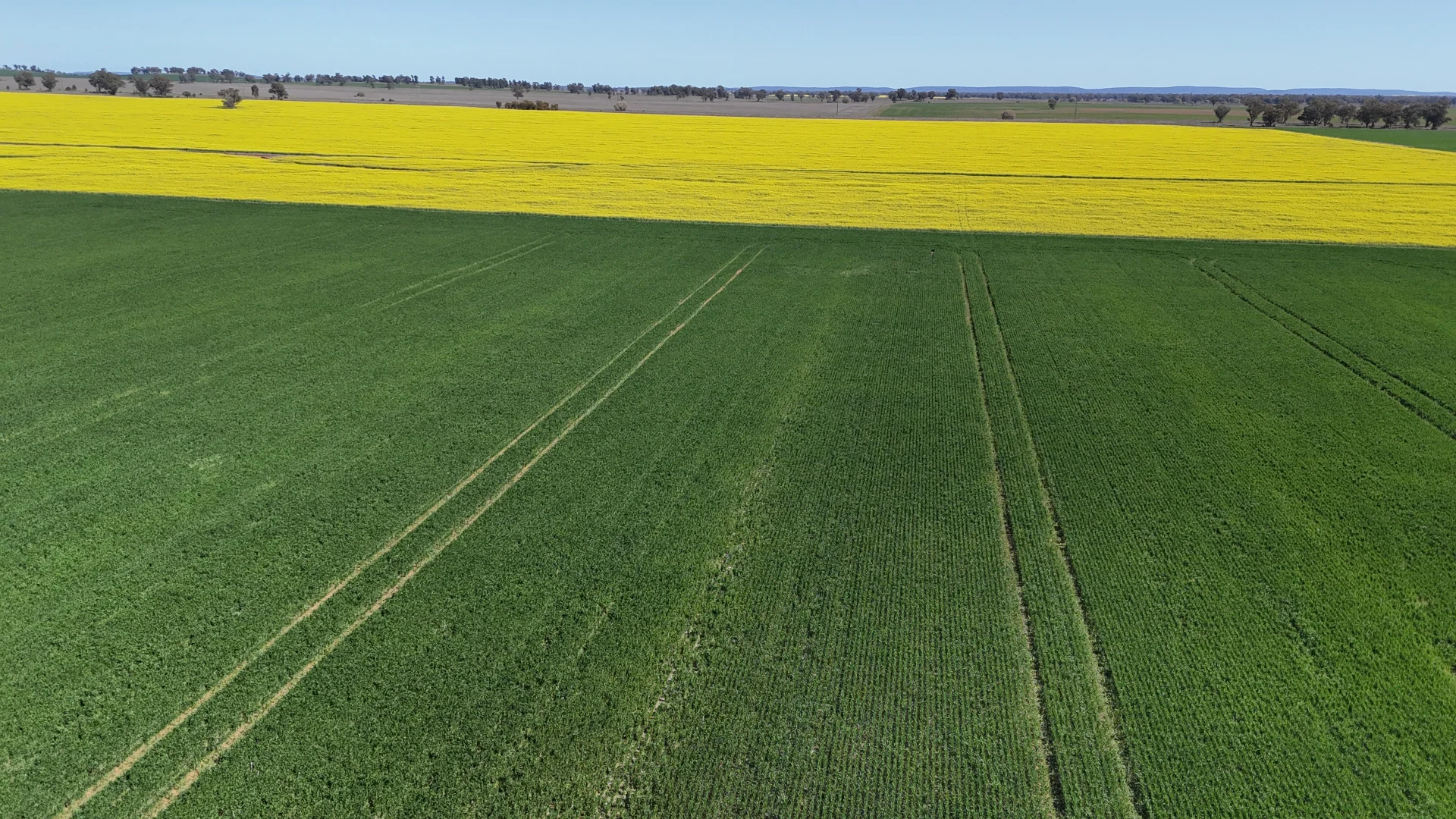 Additional image 12 of 92 Millers Lane, Parkes NSW 2870