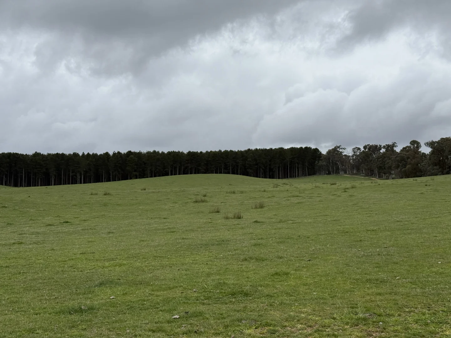 Additional image 6 of Lot 13 Rosewood Hills Road, Tumbarumba NSW 2653