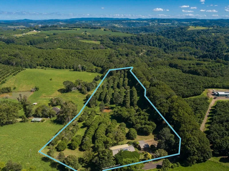 Additional image 32 of 5 Whian Whian Road, Dunoon NSW 2480