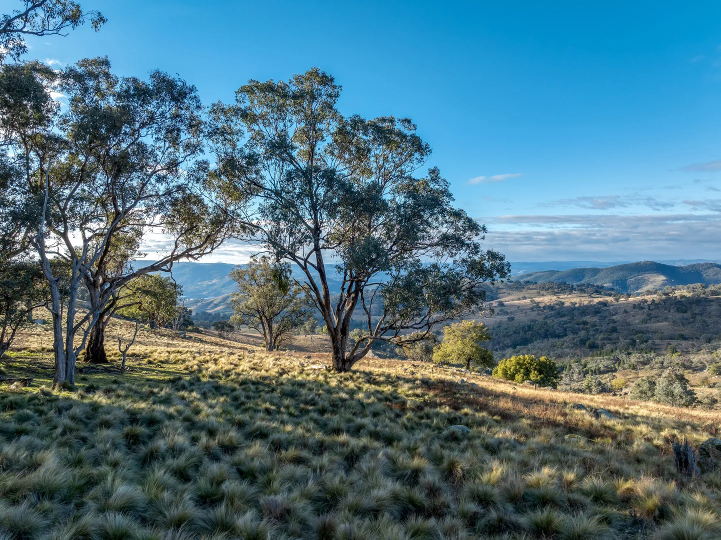 Additional image 18 of 498 (LOT A) Decca Road, Bigga NSW 2583