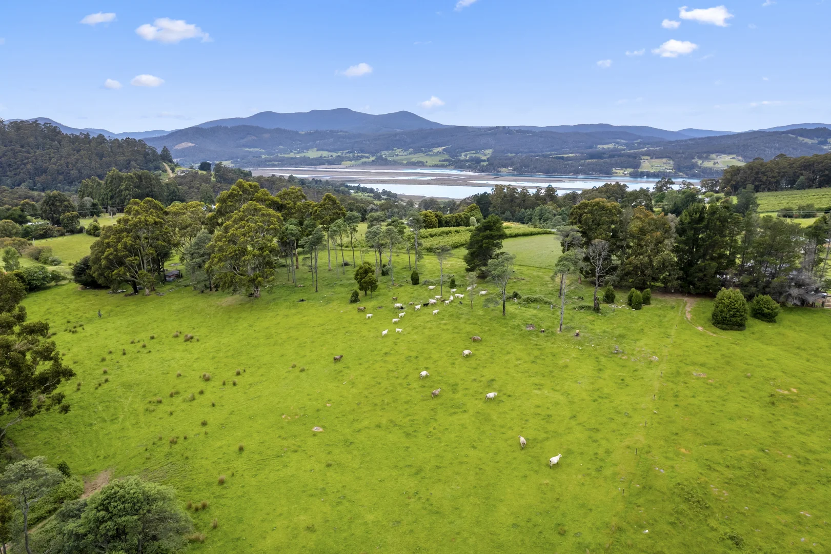 Additional image 16 of Lot  1 Flakemore Road, Franklin TAS 7113