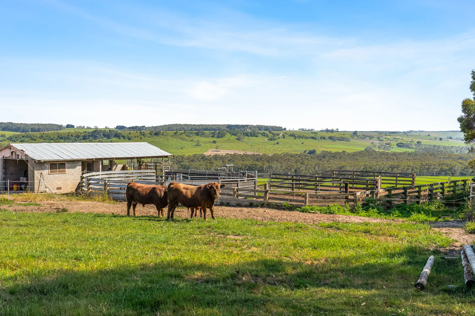 Additional image 5 of 876 Cobden Port Campbell Road, Scotts Creek VIC 3267