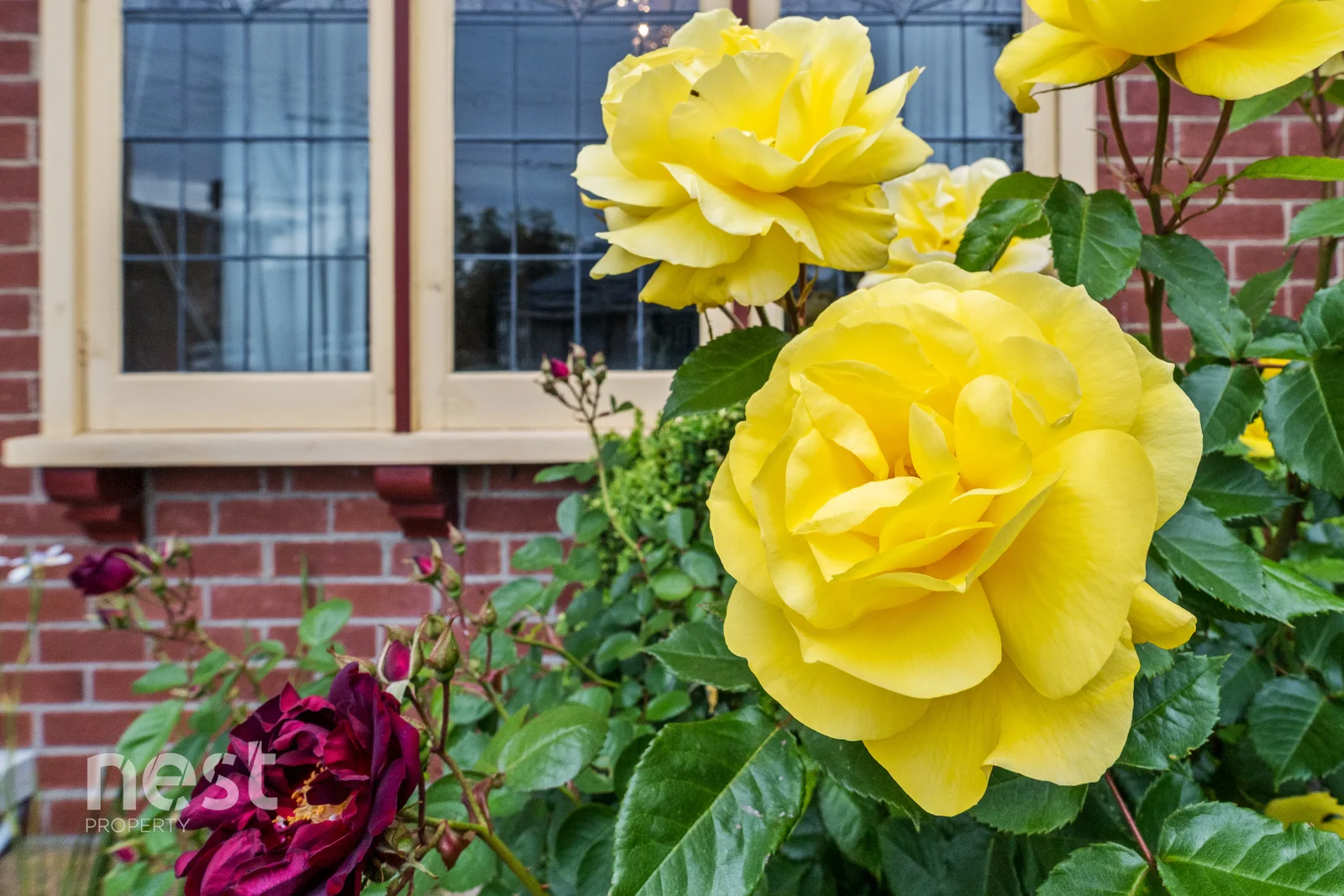 Additional image 28 of 99 King Street, Sandy Bay TAS 7005