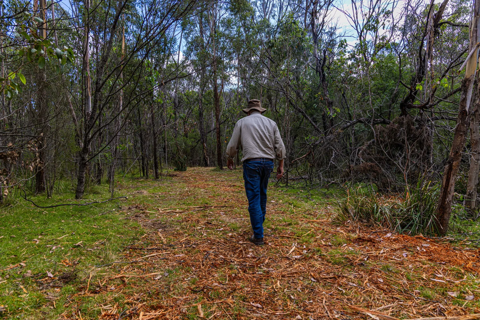 Additional image 18 of 153 Murumba Rd,, Bombay NSW 2622